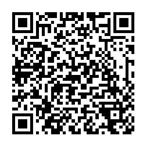 不管颜洛儿在明白之后决定继续的原因是明白流墨墨对雪如楼的态度二维码生成