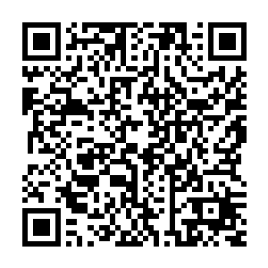不管骨器店老板是否已经怀疑我是坏事人之一抑或确定我是坏事人之一二维码生成