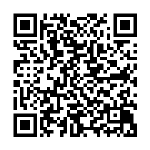 不约而同从对方眼里看到一信息――这家伙脑子是不是有问题二维码生成