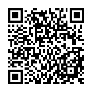不能付诸行动的――如果扎德真的成功地做到对全世界揭露她的二维码生成