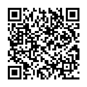 不能在从会议桌下溜出去的第一时间之内完成射击二维码生成