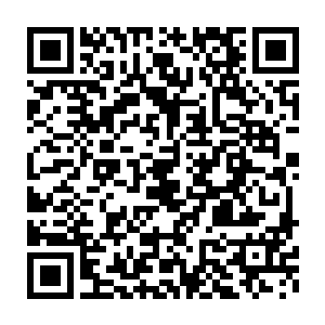不能在有阳光的环境中生活……这是任何有意识的生命都无法忍受的二维码生成