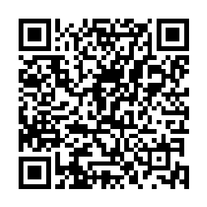 不苟言笑的黛玻菈完全不一样了……他差点以为看错人了二维码生成