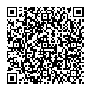 不行……多多罗和雅各布那两个家伙还在这里……现在不是报仇的最佳时机……我若是留在这里的话二维码生成