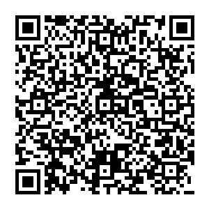 不行如果混元派中掌门大阿兵如果不引出来们这次准备都将会损失为了减少损失们必须耐心等待二维码生成