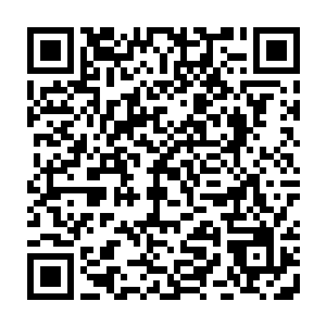 不要……为什么……为什么要这么做……妈……我可以什么都不要的……二维码生成