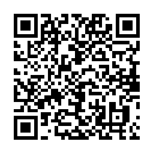 不要……你们骗人……我草儿不在这里……我要回家……二维码生成