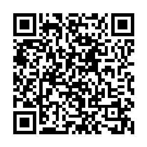 不要以为有司徒启建在你上面帮你顶着我就不敢杀你二维码生成