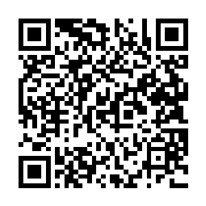 不要再去为了那没用的皮囊再搭上无辜人的性命了……二维码生成