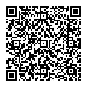 不要怕你可知道一旦清扬成功那么灵界的走向便有了彻底的改变他将是前无古人后无來者的超级存在二维码生成