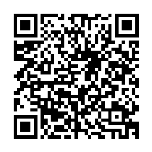不要跑啊……我没有恶意的……我的小咪咪没有我会很可怜的二维码生成