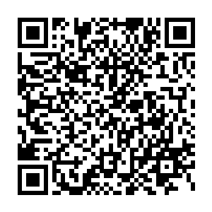 不计成本的消耗掉了阴阳玄宫和南海魔域药园中过半的药材用来练习二维码生成