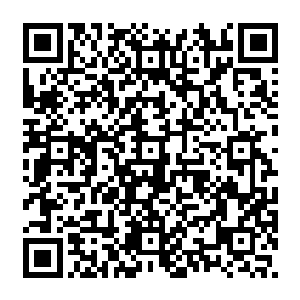 不论大小和形状赫然与进入秘界众人手腕上浮现的携带进入秘界的气运鼎一般无二二维码生成