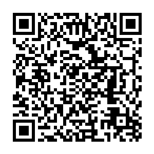 不论是神域来人还是真武玄域的人都为已经死在沈凡刀下的绝无殇默哀二维码生成