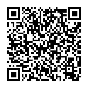 不论是苏华衍还是弟弟们……全都用一种很陌生很鄙夷的视线望着她二维码生成