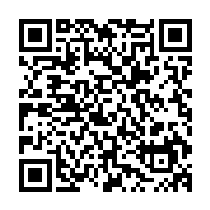不论虚空藤还是木灵空间距离完全圆满……已经只是时间问题二维码生成