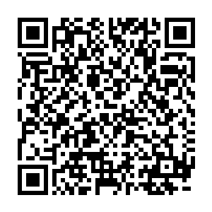 不说是和贝海比了就是和今年大爆发的网号比杰德在数目上也不时对手二维码生成