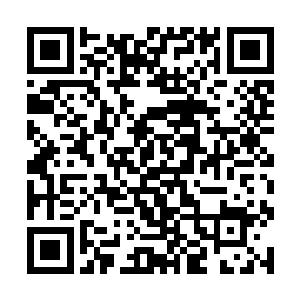 不说话却动静颇大的推开门把人字梯往门内墙上一靠二维码生成