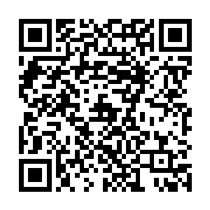 不过……在经历过了古尘齐治伍迪西蒙这帮家伙的轮番二维码生成