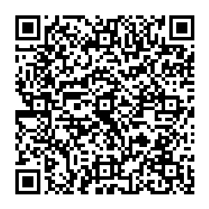 不过　幸运的是　艾尼莎说了　等回头女王召集开贵族会议的时候　一定会在女王面前多多提起他二维码生成