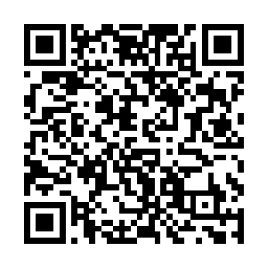 不过一些从小世界来到大世界的天才也确实极为恐怖二维码生成