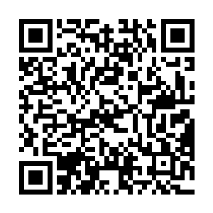 不过一切怀疑都在代离活生生出现在他们面前之后瓦解二维码生成