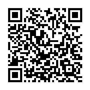 不过一想到自己曾经和许紫烟在幻境中有过一段有缘无分的经历二维码生成