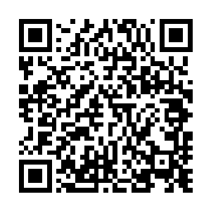 不过一般老白没有主动说明的情况都是他没有得到确切消息二维码生成