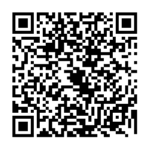 不过上次的天地产生一股庞大的气势之后他们好像顾忌什么东西都停止了行动二维码生成