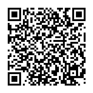 不过丹的评论文章也的确说穿了一些股东的心理――这些股东怕的不是迪克的走二维码生成