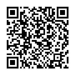 不过之前在他体内暴动的神血石能量这会儿倒是乖顺了下来二维码生成