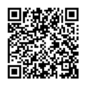 不过也不像众人刚刚所想的那样将一整块翡翠分成四种不同的颜二维码生成