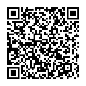 不过也因此可以反射出那股恐怖气势的主人到底恐怖到了什么程度了二维码生成