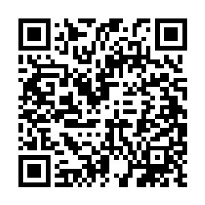 不过云起舞和南寻风这个时候也没闲暇去管西门度二维码生成