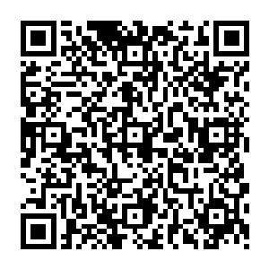 不过仅积十七分的拜仁慕尼黑距离排名第一的云达不莱梅还是很遥远――他们有五分的差距二维码生成
