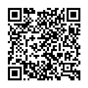 不过从宋无悲青红交加的脸上他还是能够看得出他这是在强撑着二维码生成