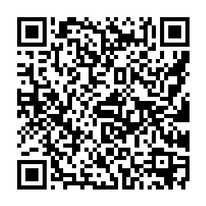 不过从血影表现出来的那些东西毕扬也隐隐得出了一个令他心中无比恐慌的答案二维码生成