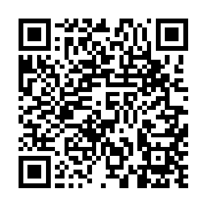 不过他们不知道的是这些修真者的戒指中可是有很多恢复二维码生成