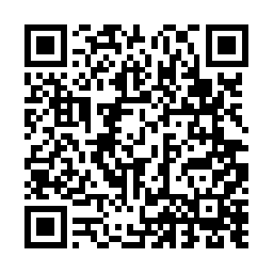不过他们依依不舍的对象是那堆有数百册的上古阵法典籍二维码生成