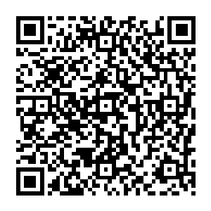 不过他们心中却已经暗暗下了一个决定那就是以后无论如何都不能够轻易的得罪天龙宗二维码生成