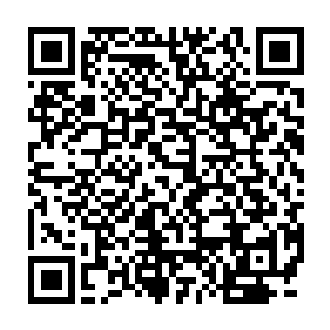 不过他们心中立刻就认为刚才许紫烟和许琴扬那联手一击消耗一定巨大二维码生成
