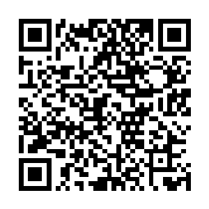 不过他们胸口悬挂的火药弹和京西军普通军卒悬挂的不一样二维码生成