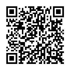 不过他们赶来的初衷已经被客栈这边不怕死的众人打乱二维码生成