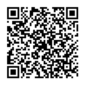 不过他却是小看了自己患上的疾病和服用的那一颗兰麝果实的灵效二维码生成