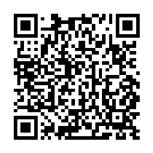 不过他在叶崇荣到人大去后没有下区县和到部门单位去二维码生成