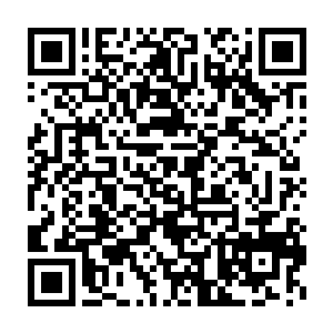 不过他当然不能让这两株蠢蠢欲动的噬血妖藤出手对付马鸣和释言二维码生成