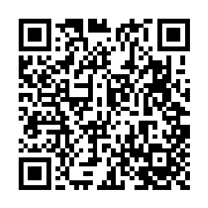 不过他的记忆就算是睡着了却也时刻保持着清醒二维码生成