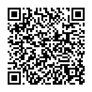不过他绝然想不到琴姬是在一个晚上从一窍不通到觉醒气感跟凝练真气二维码生成