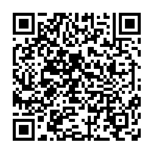 不过令人惊讶的是那道看似十分厉害的雷电竟然只是在血茧上留下了丝丝的裂痕二维码生成
