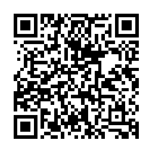 不过你小子这几次服用的万年石钟乳的能量根本就没有完全吸收二维码生成